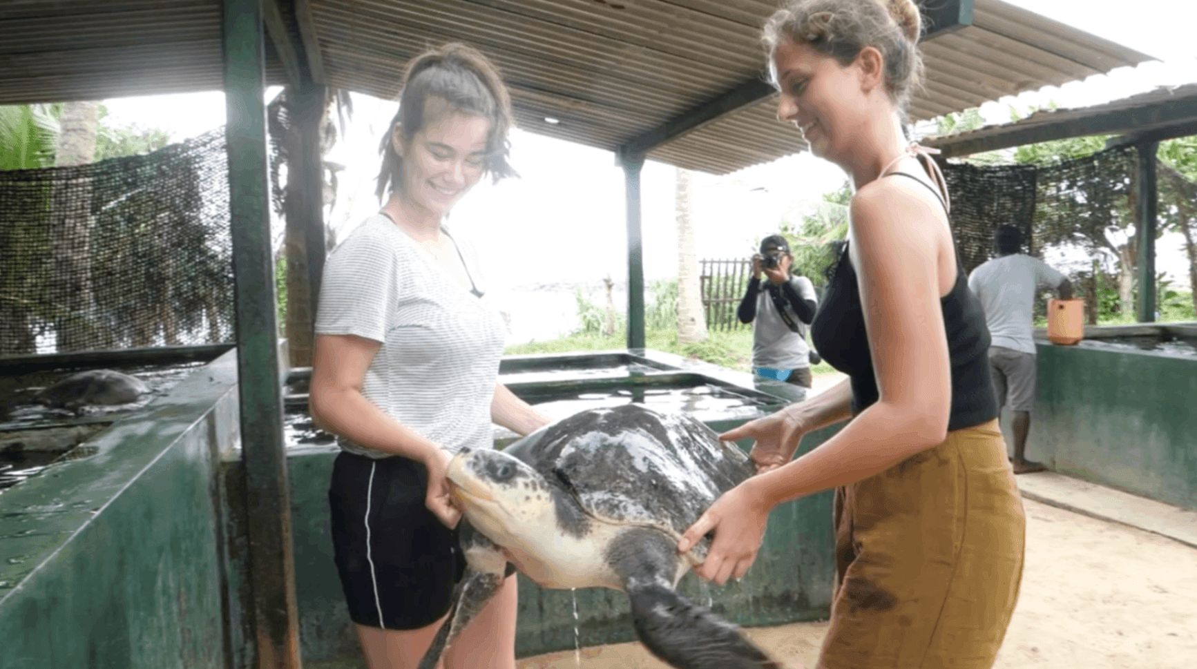 Volontariato in Sri Lanka